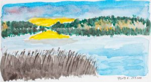 ruskametsän etsintää akvarellina